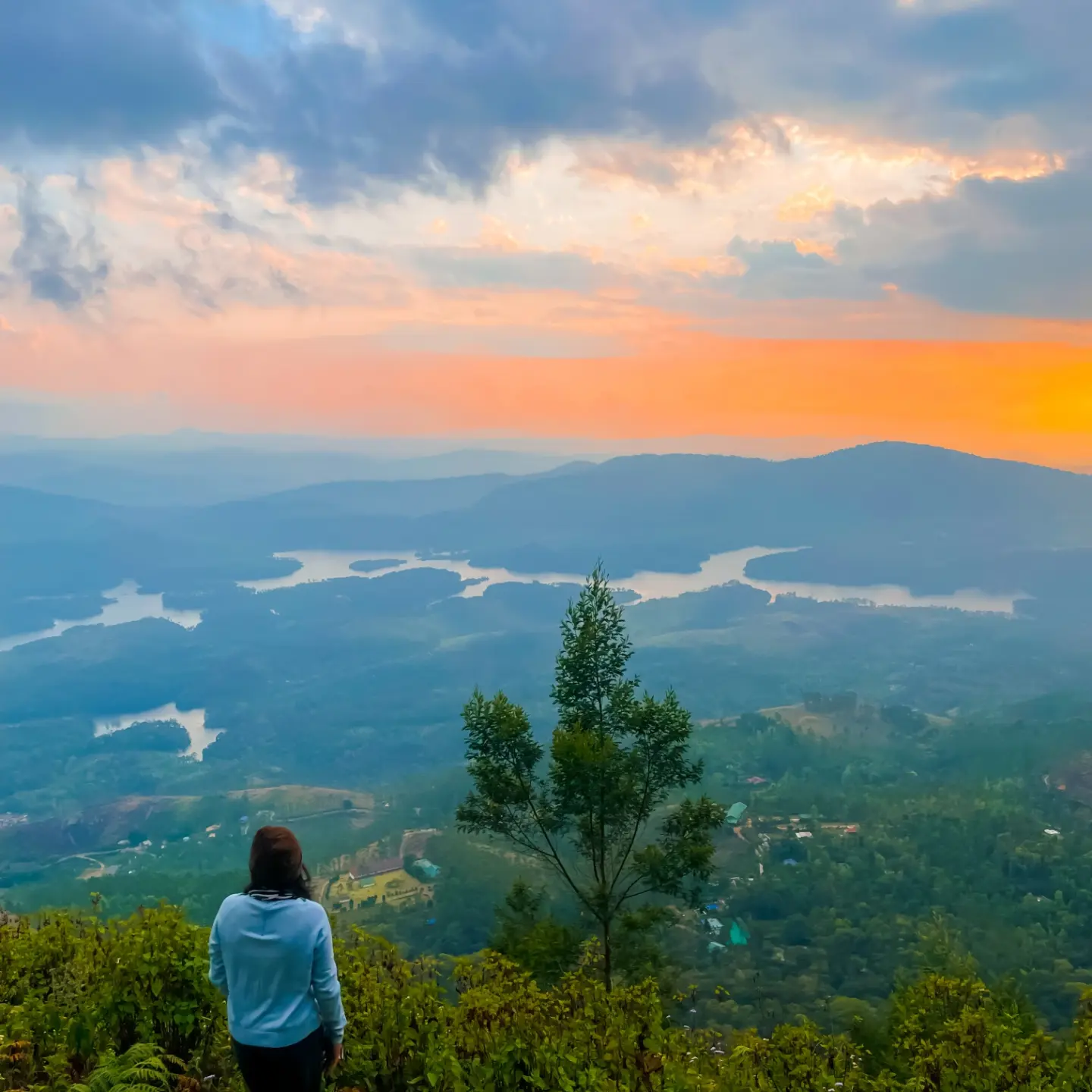 Tent stay in munnar